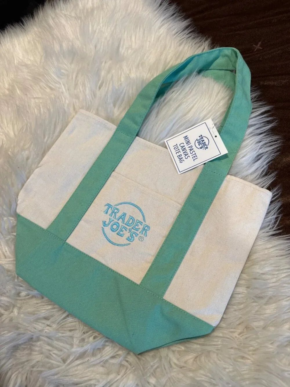 NWT Trader Joe’s Mini Pastel Canvas Tote Bag Mint Green Reusable 2035